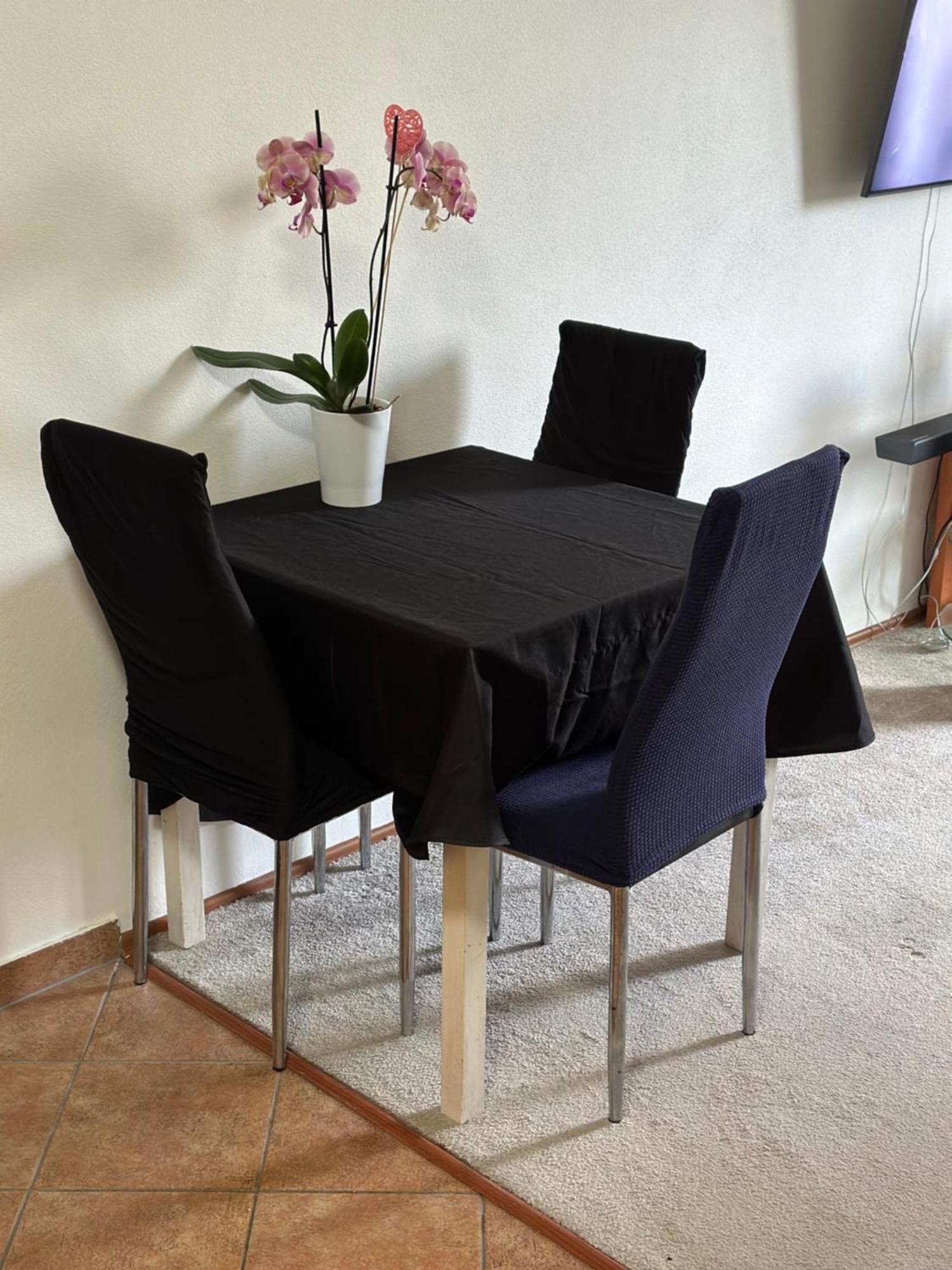 Old Town Apartments Zderadova 6 브르노 외부 사진